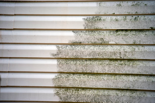 Best Basement Cleanout  in Duson, LA