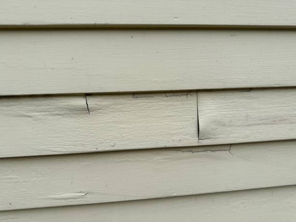 Best Foreclosure Cleanout  in Duson, LA